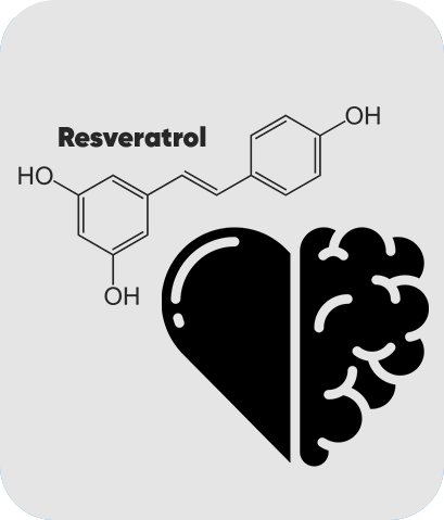 Resveratrol Molecule